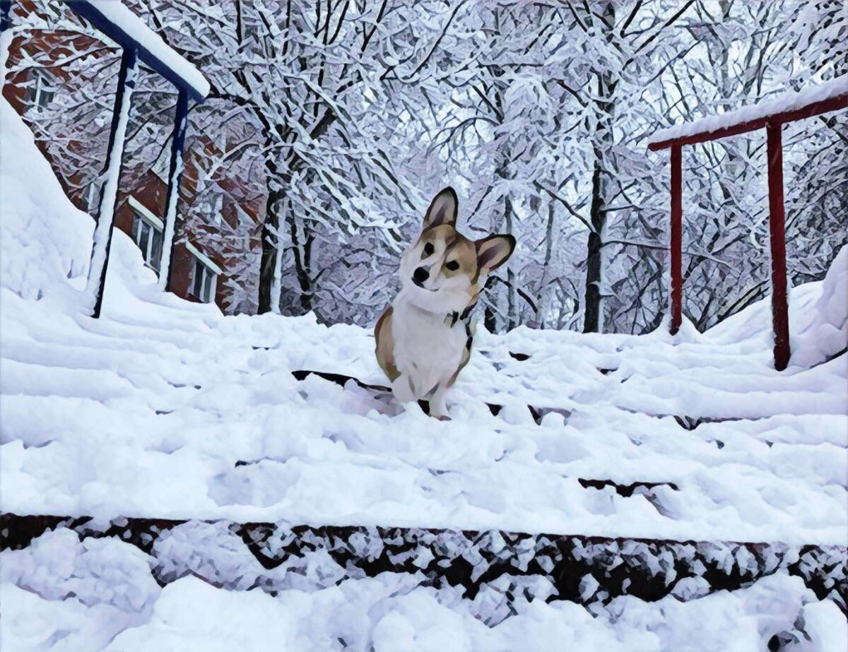 Фото: unsplash.com