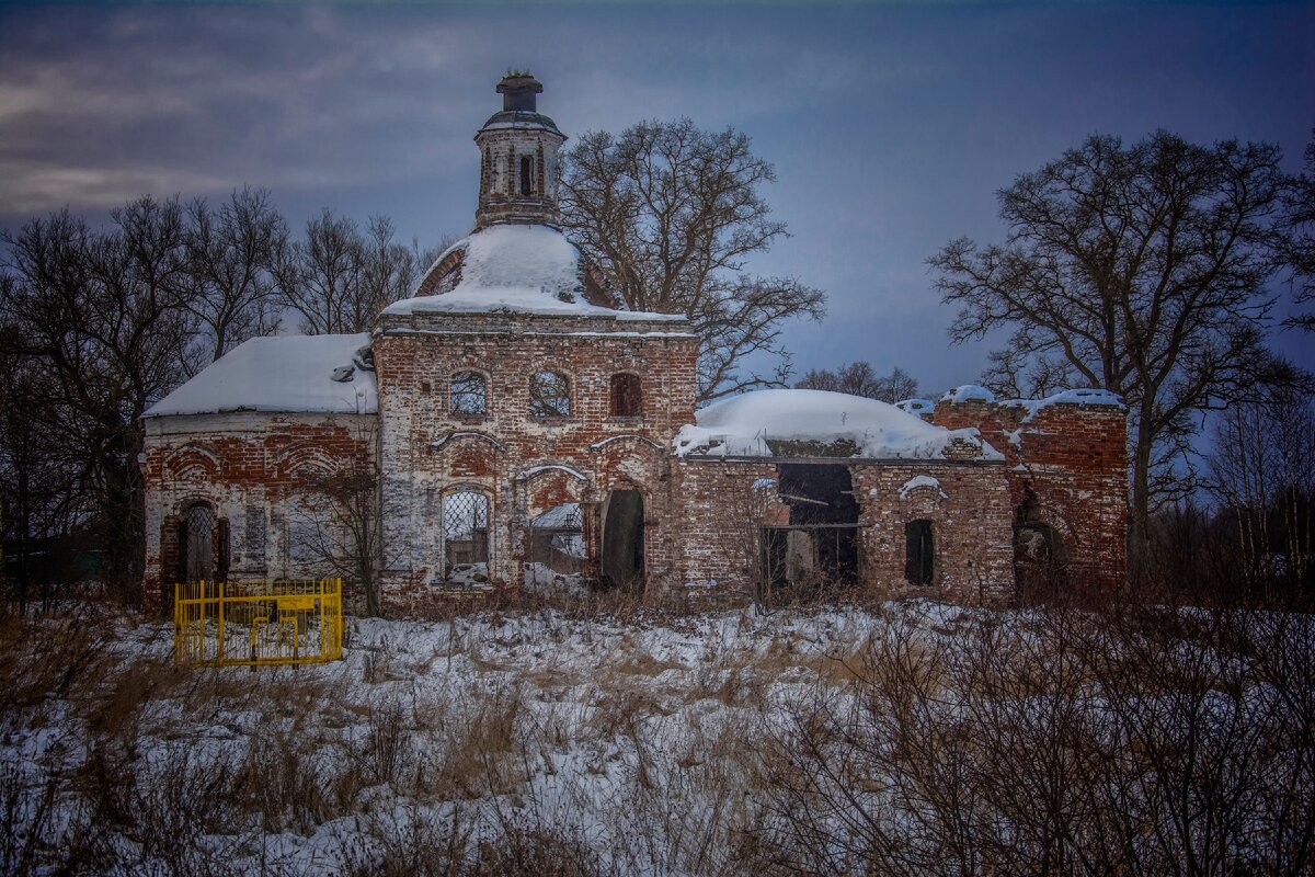 фотографии автора канала