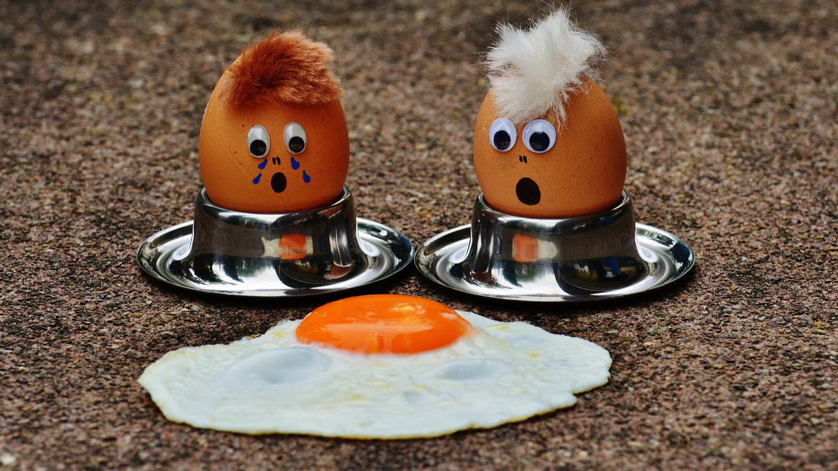 изображение с сайта canva.com