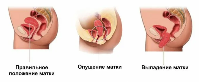 Нарушение общего состояния животного