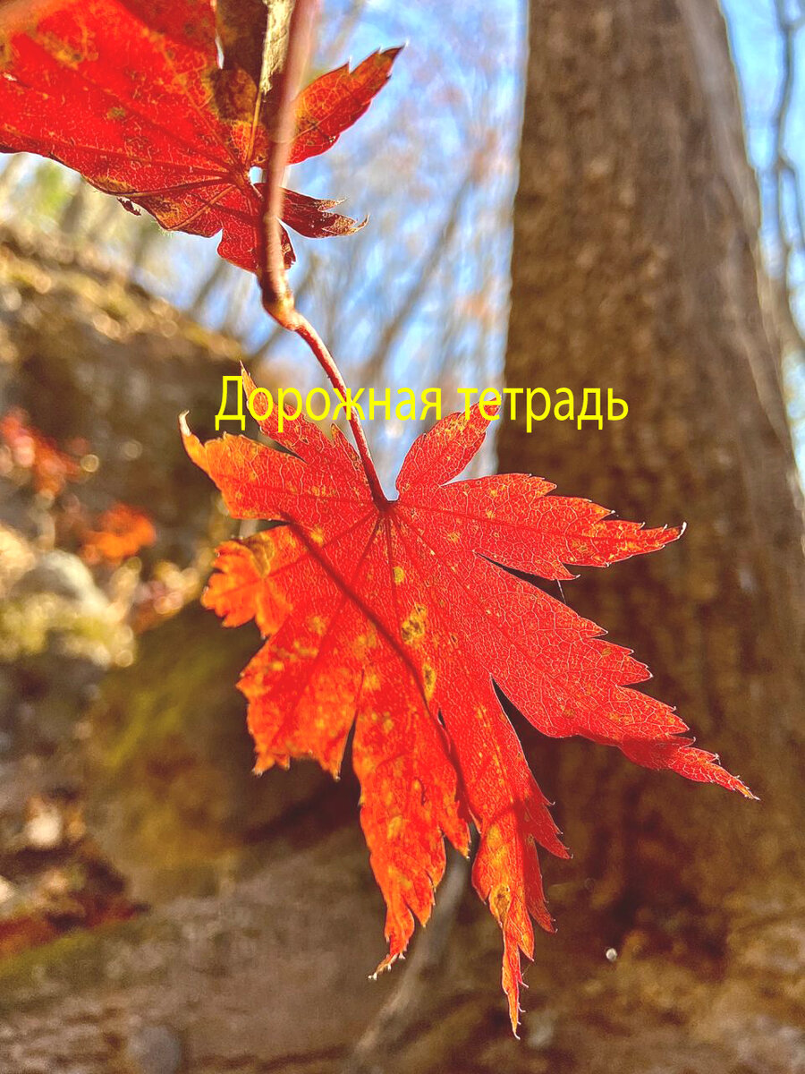 фото из личного альбома