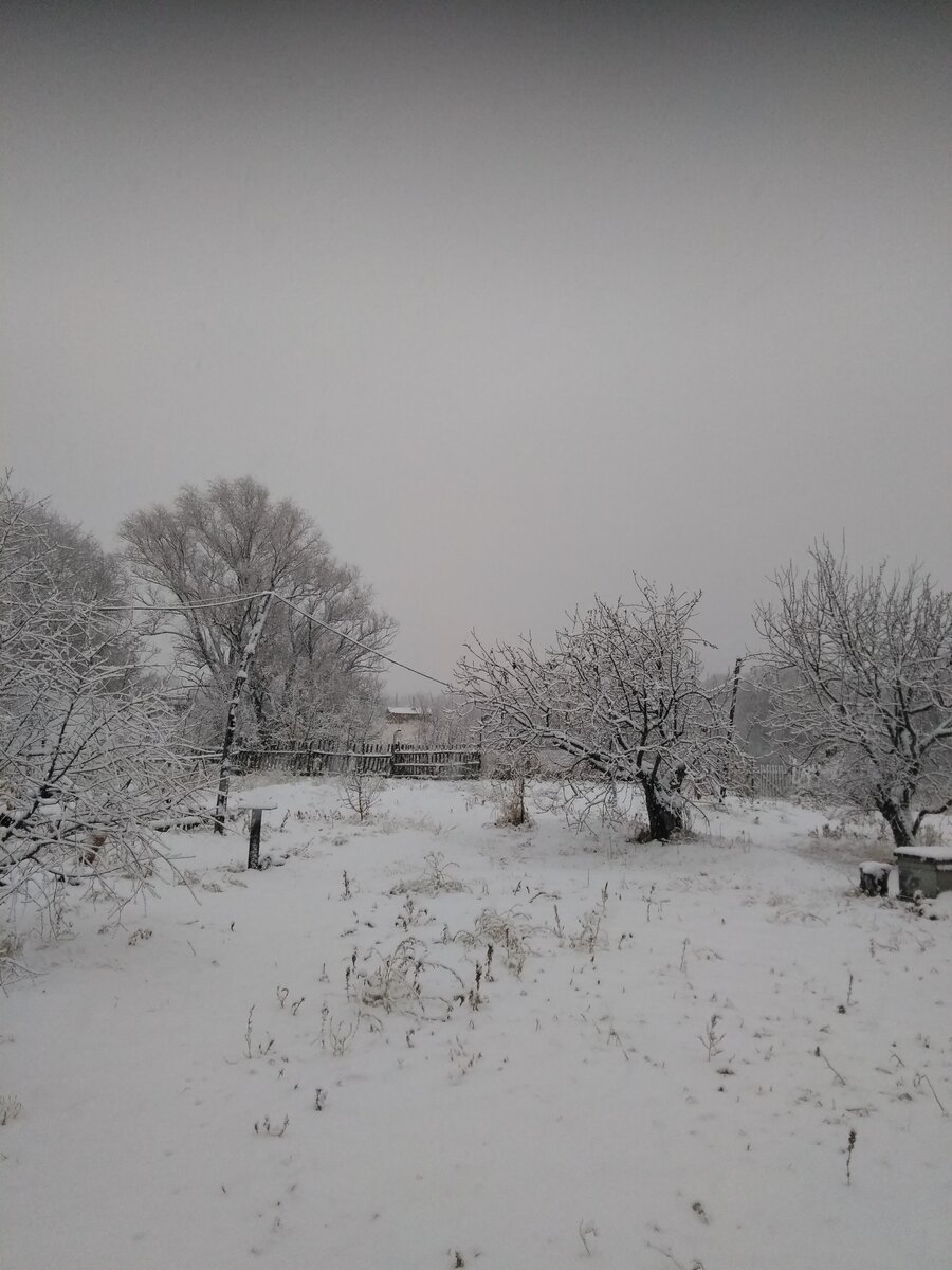 немного позже снег снова пошёл. Зато красиво, всё пушистое).