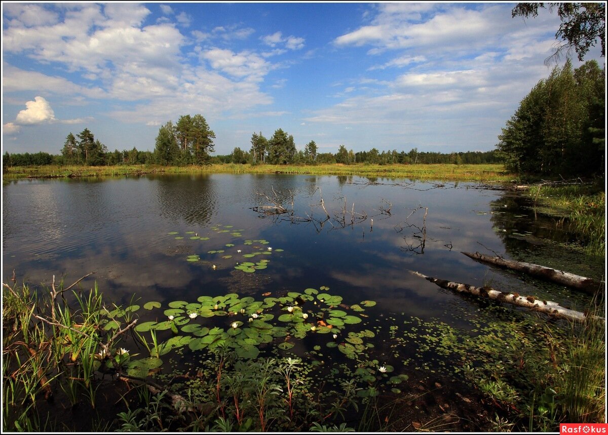 Фото из открытых источников.
