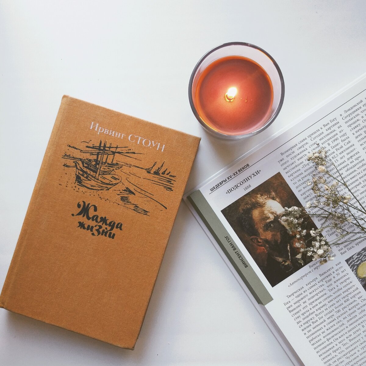 Фото авторское inst: @booksnastya