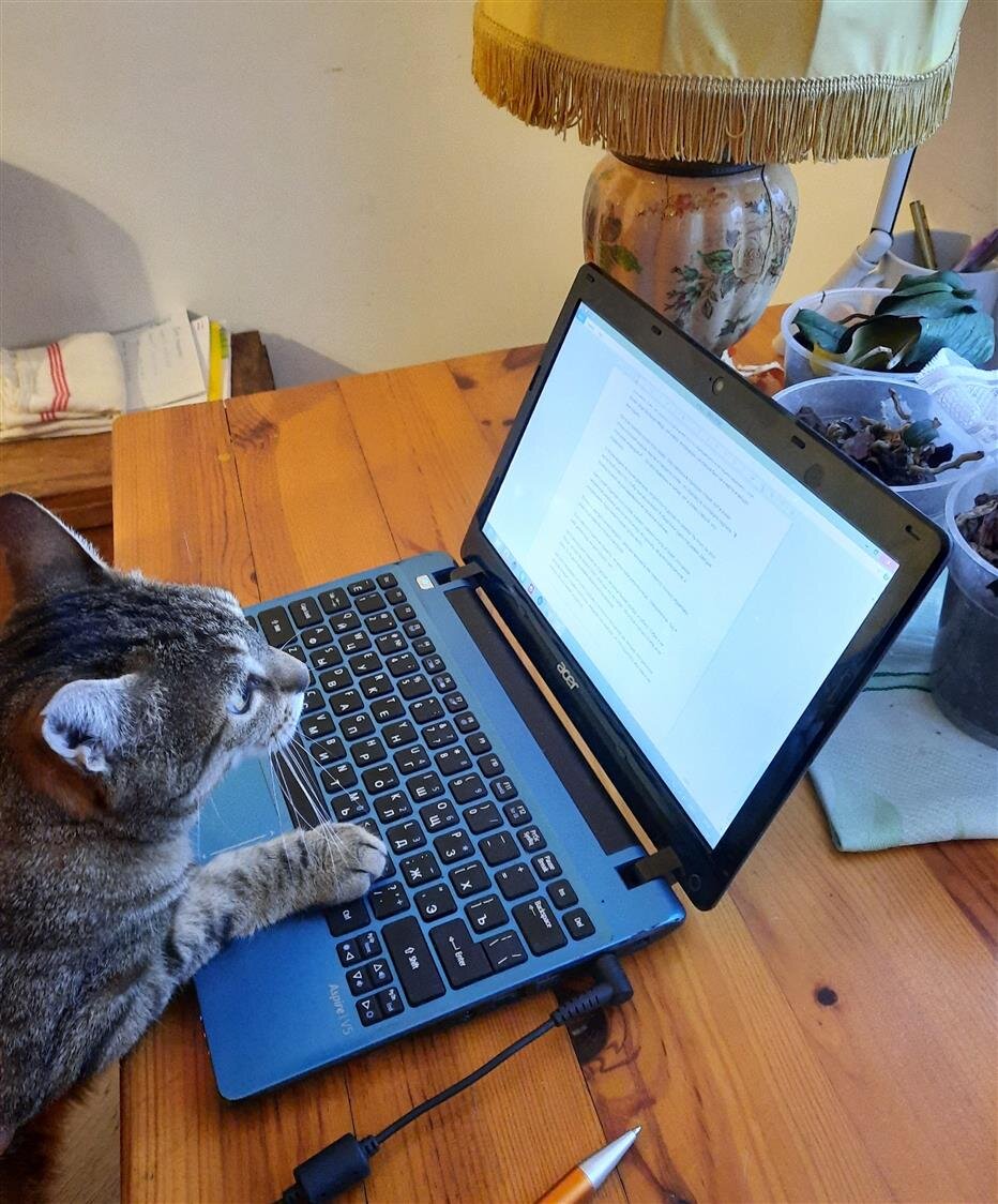 Фото автора