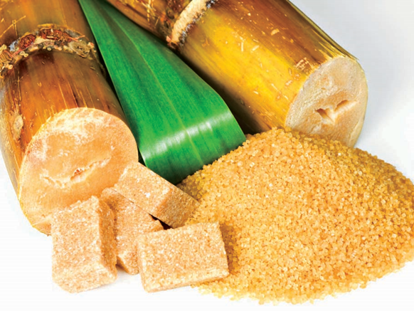 Сахарный тростник и тростниковый сахар из него