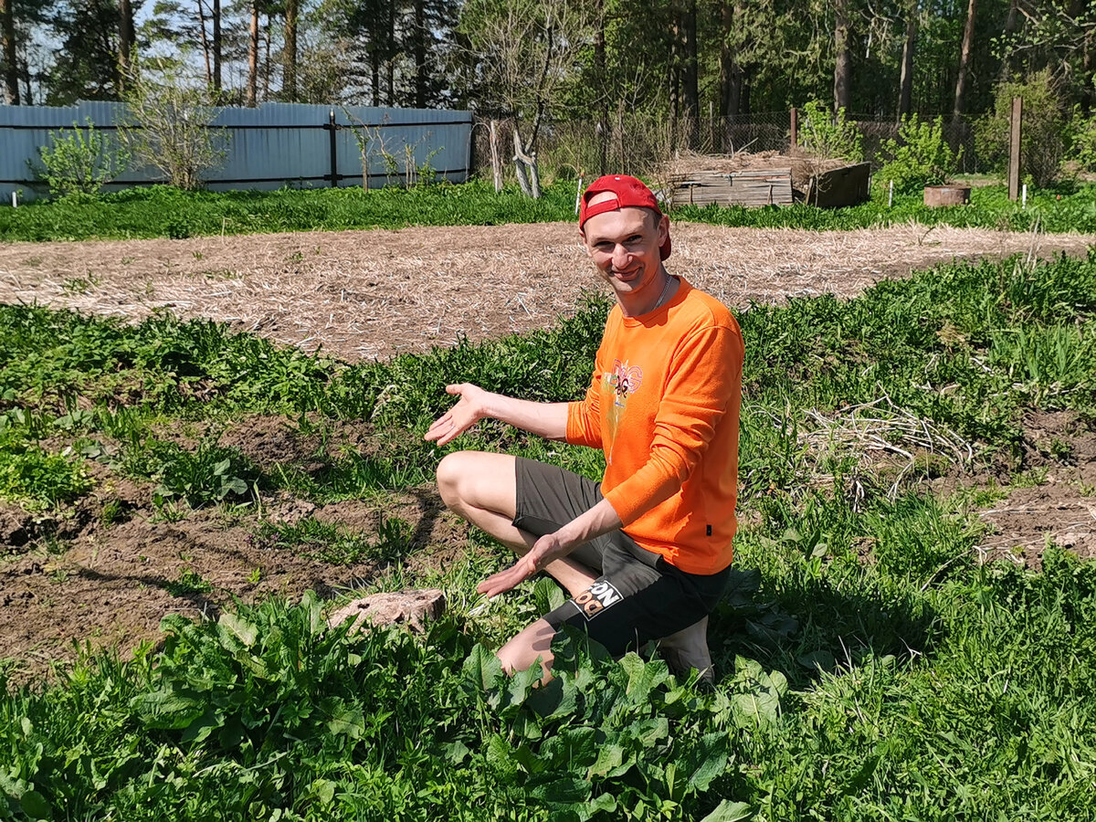 Все фото - автора 