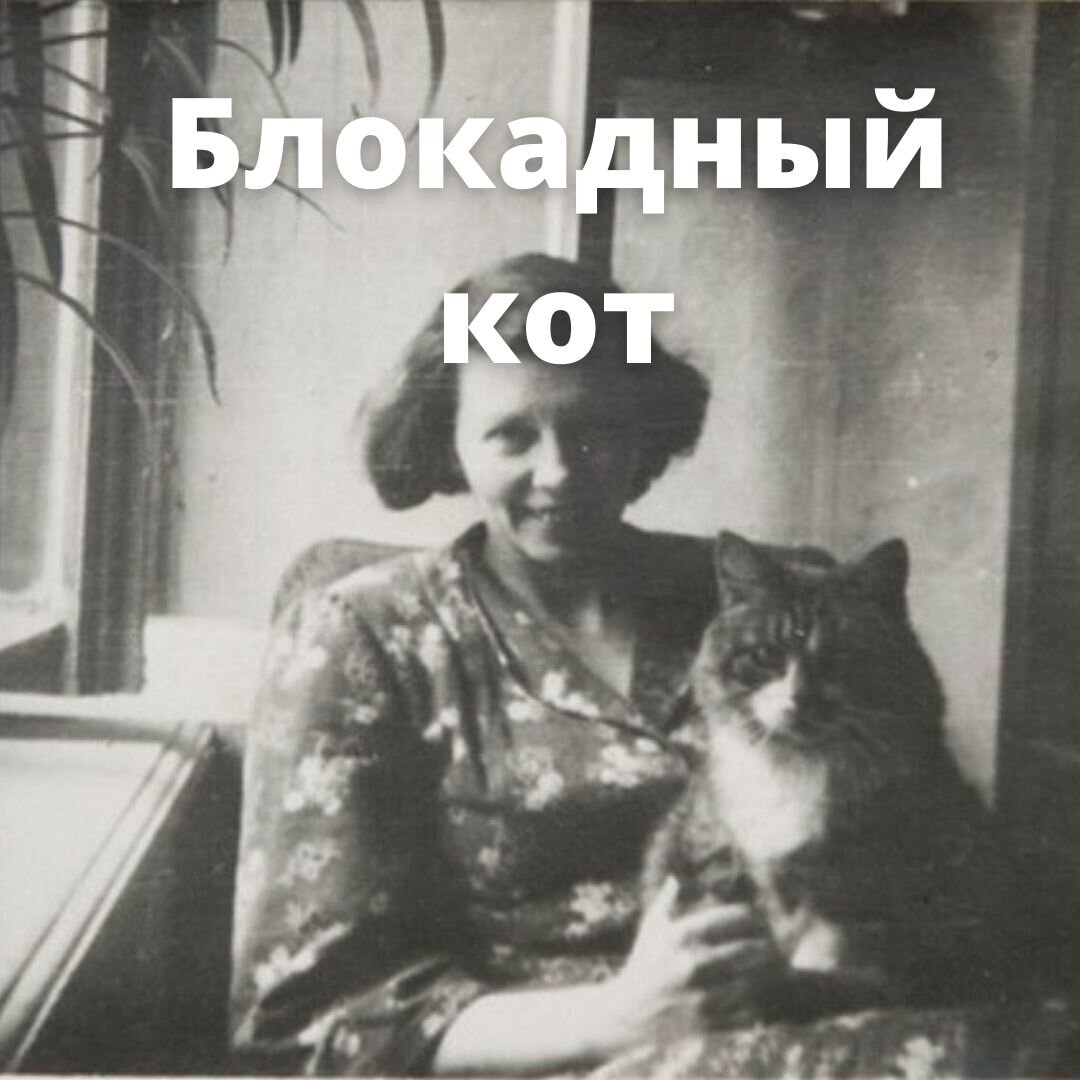 Блокадный кот