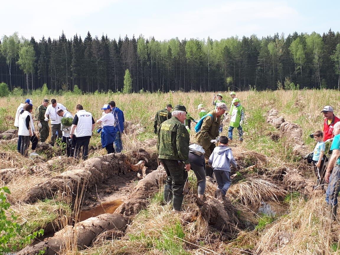 Под руководством лесников- и взрослые,