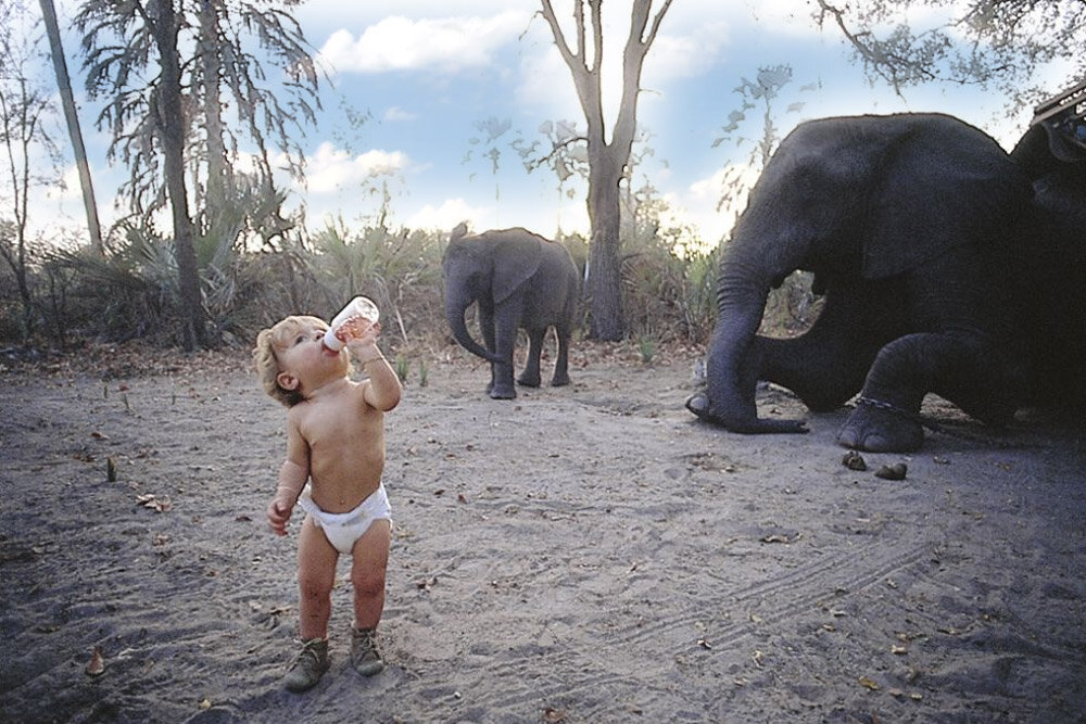 Известная история про девочку Типпи, чьи родители были фотографами дикой природы в Намибии. С раннего детства ее чаще окружали дикие звери, нежели люди. Фото из открытого источника. 