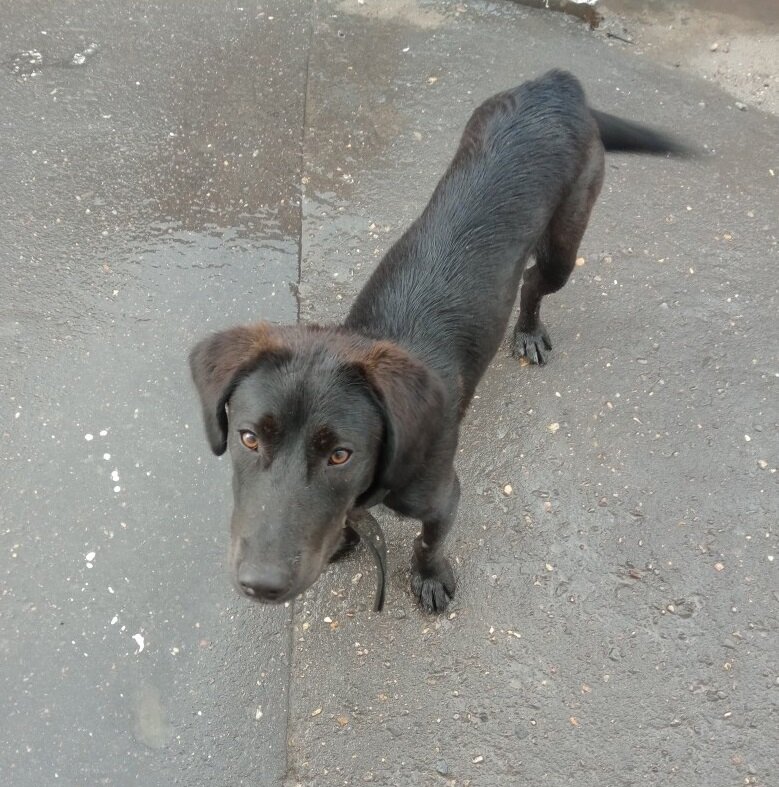 Первая встреча