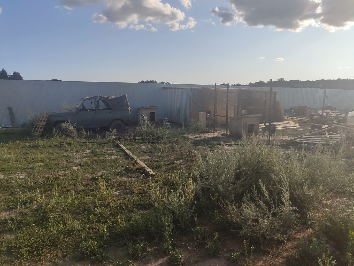 Одна из частей, описанного в публикации, приюта