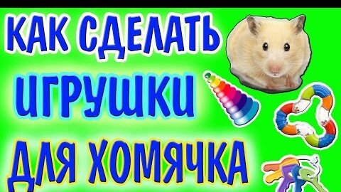 Клетки для хомяка