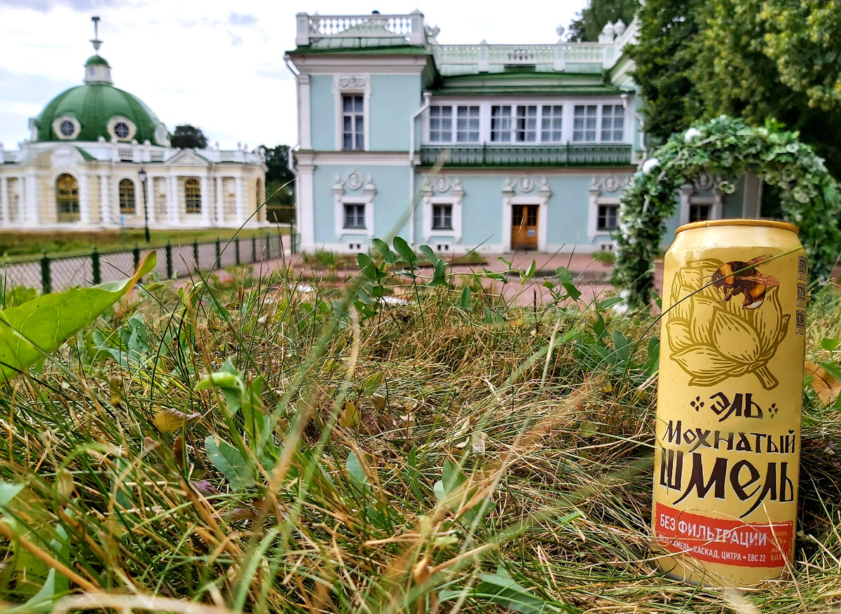 Мохнатый шмель без фильтрации, фото автора