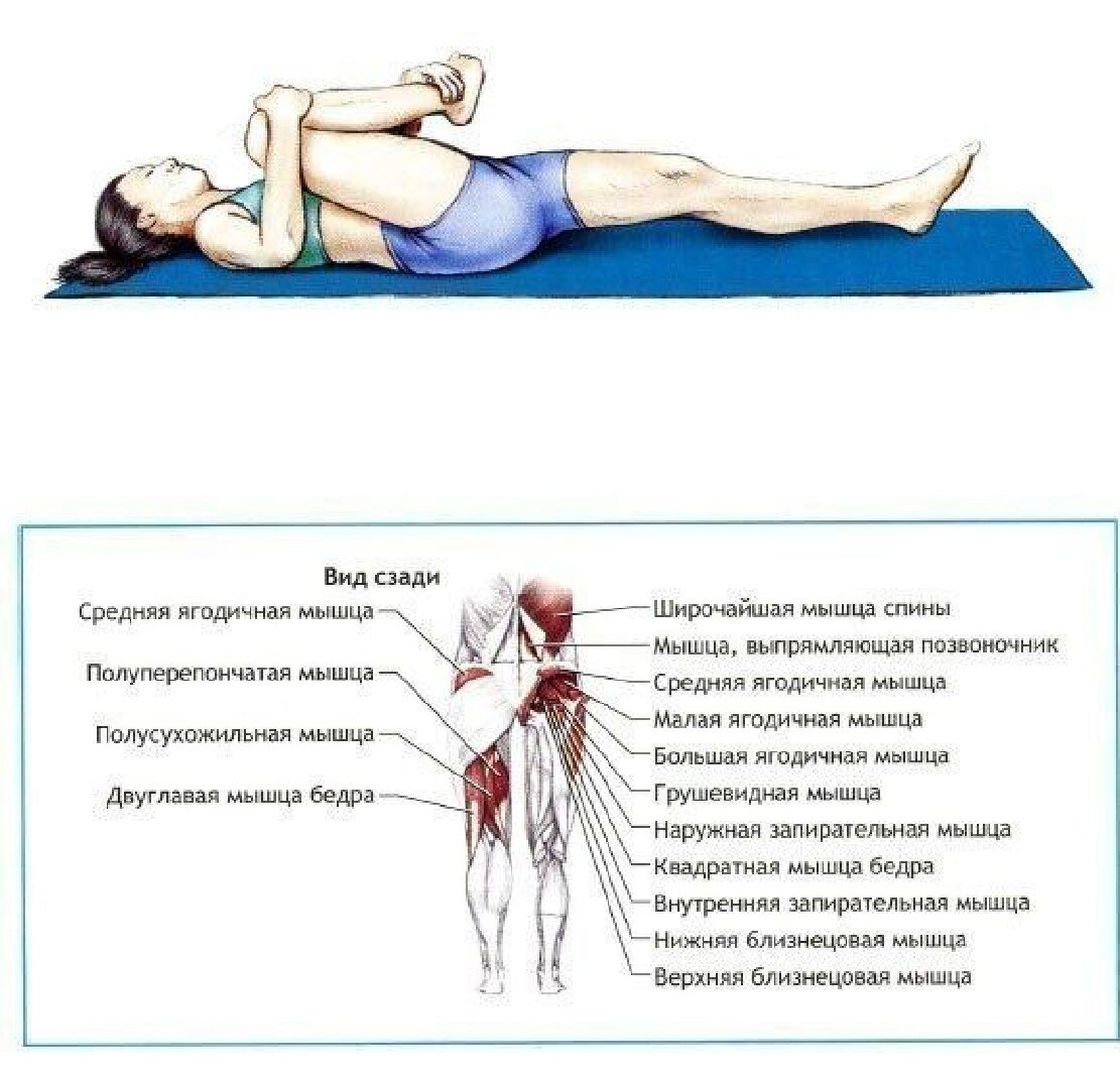 Средняя ягодичная мышца упражнения на растяжение