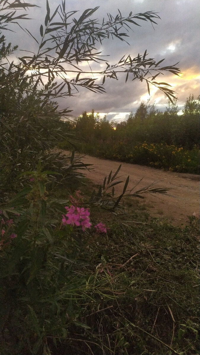 Мечтаю о красивой жизни)