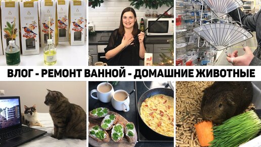 🛁 РЕМОНТ ВАННОЙ 💰ПОКУПКИ - РАЗБИЛИ ЗЕРКАЛО - 🐱🐹МОИ ДОМАШНИЕ ЖИВОТНЫЕ - 🔥БУДНИ ДОМОХОЗЯЙКИ