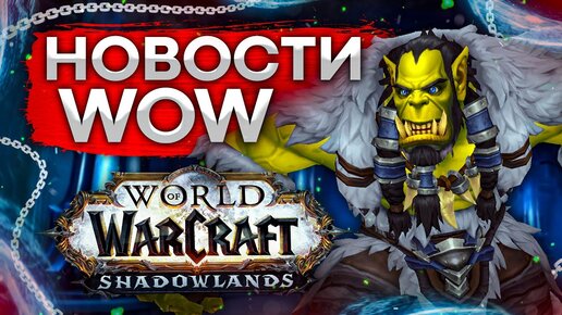 BLIZZARD ХАМИТ, WOW заморожен, ПРОТЕСТЫ И ЗАБАСТВОКИ, Оргриммар захватили, новости wow shadowlands