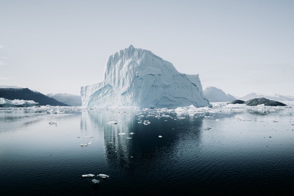 Фото: Annie Spratt / Unsplash