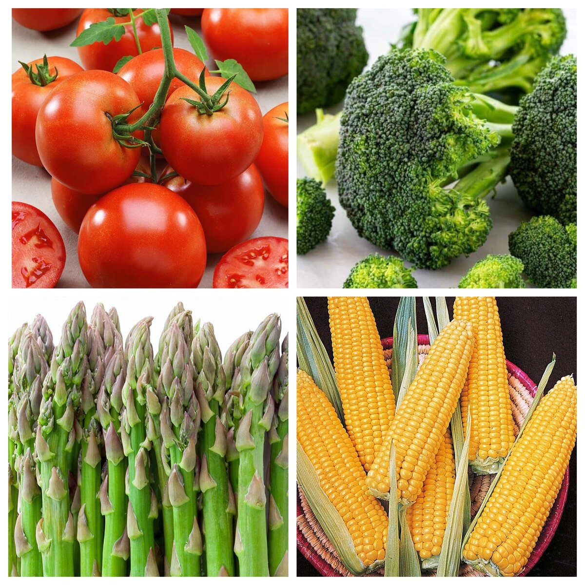 Коллаж. Яндекс. Картинки