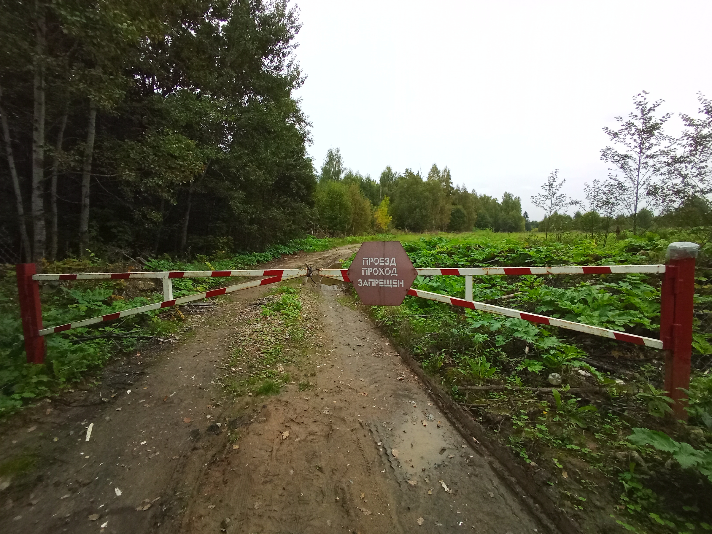 Посетили бывший пионерский лагерь 