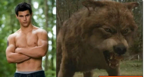 кадр из фильма "Сумерки"