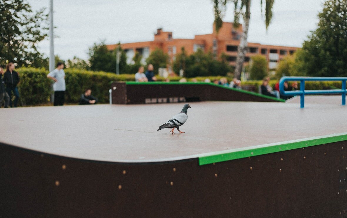 Фото: pexels.com 