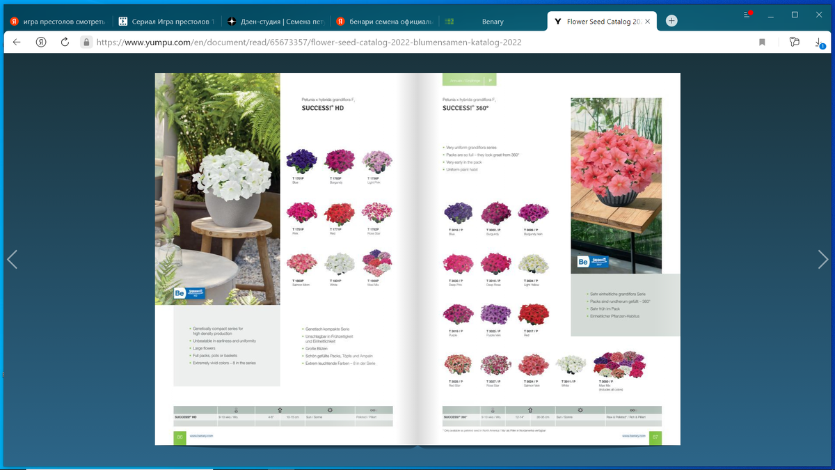 Скриншот из каталога компании Бенари с описанием и технологической картой петунии Саксесс.