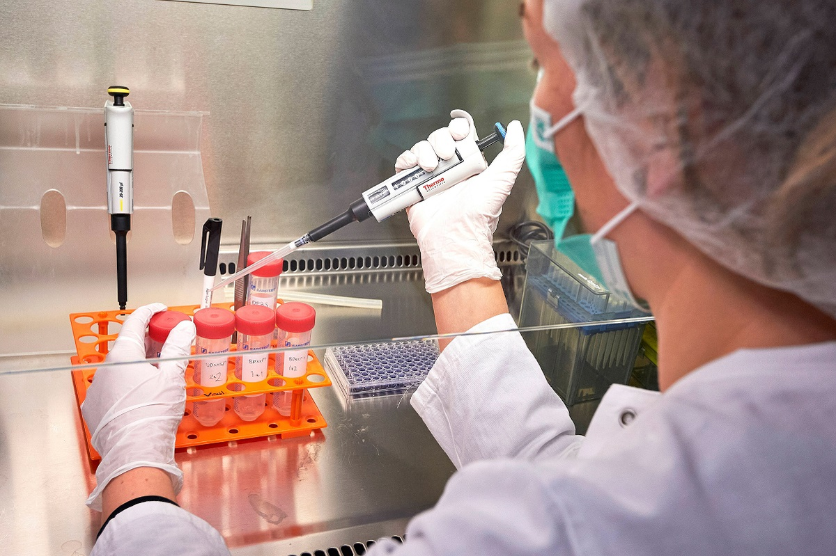 фото взято из открытых источников 