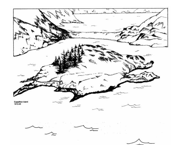 Ели на острове Экспедиции, с рисунка 1910 года