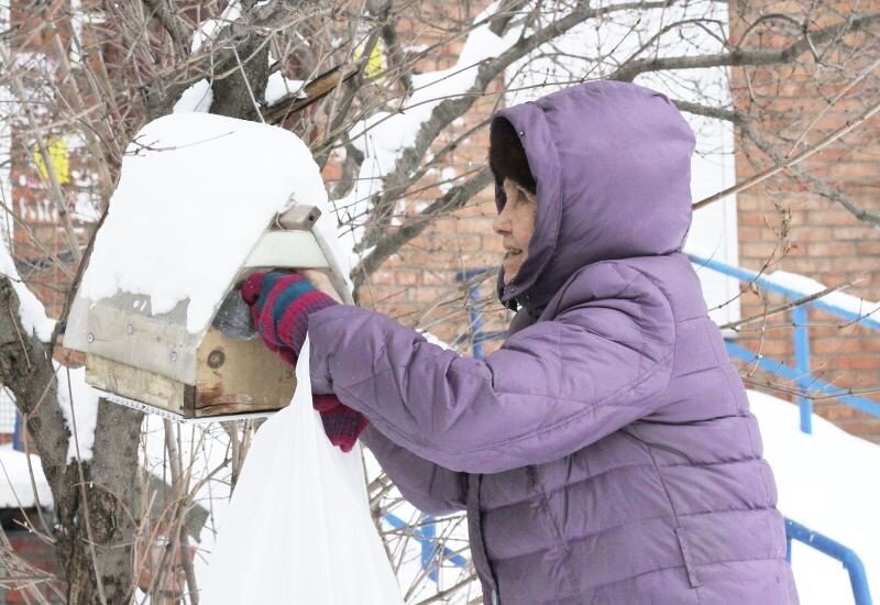 Пенсионерка на улице Демакова подкармливает синиц. Фото: НДН.инфо