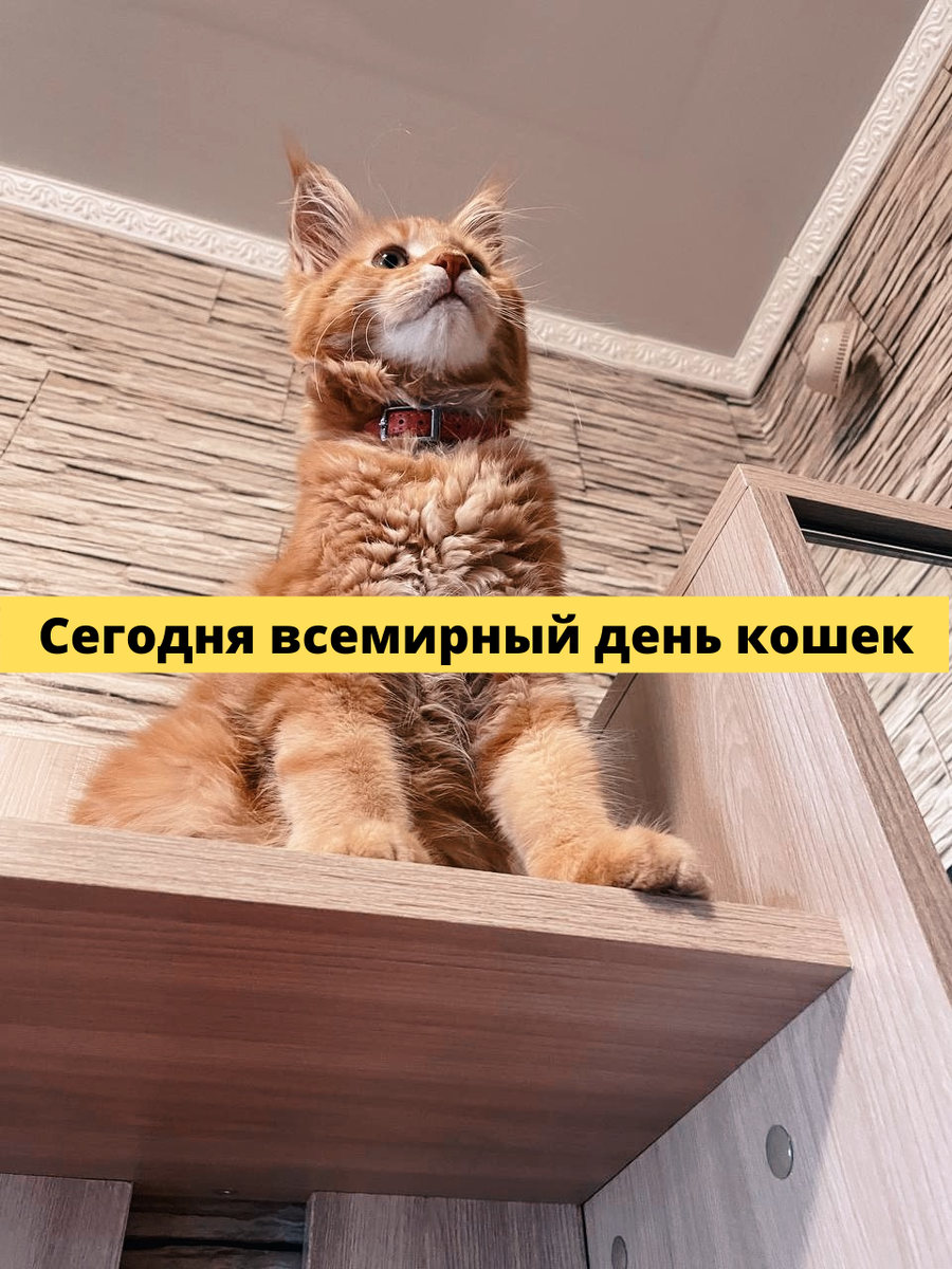 Личный архив