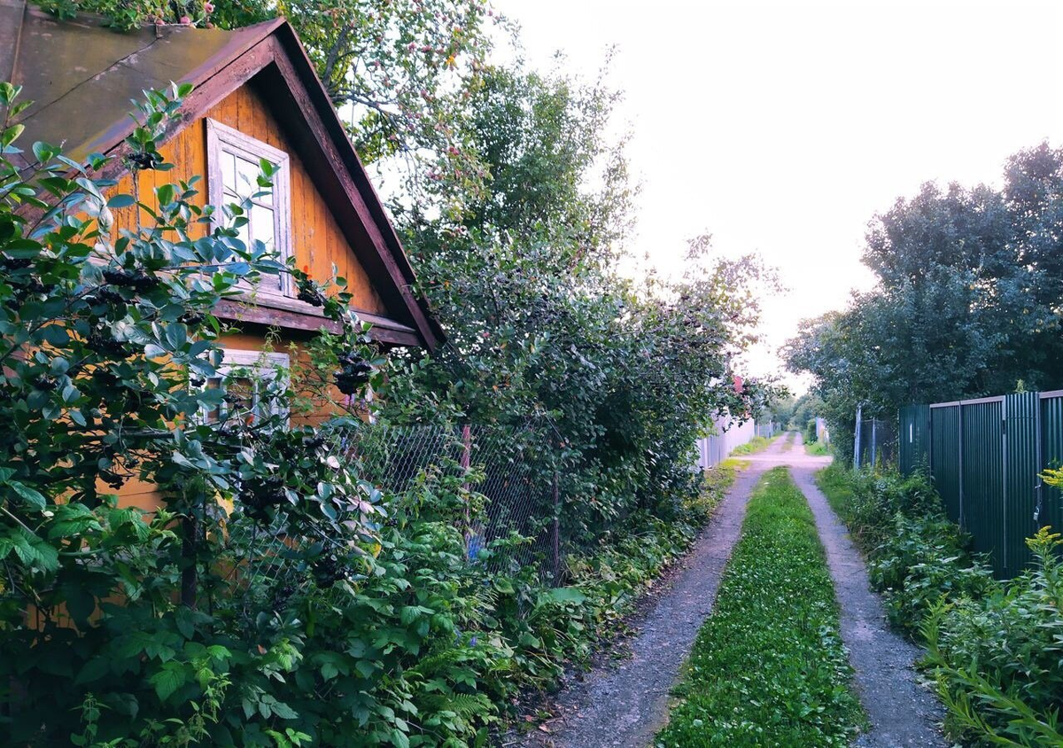 Яндекс.картинки