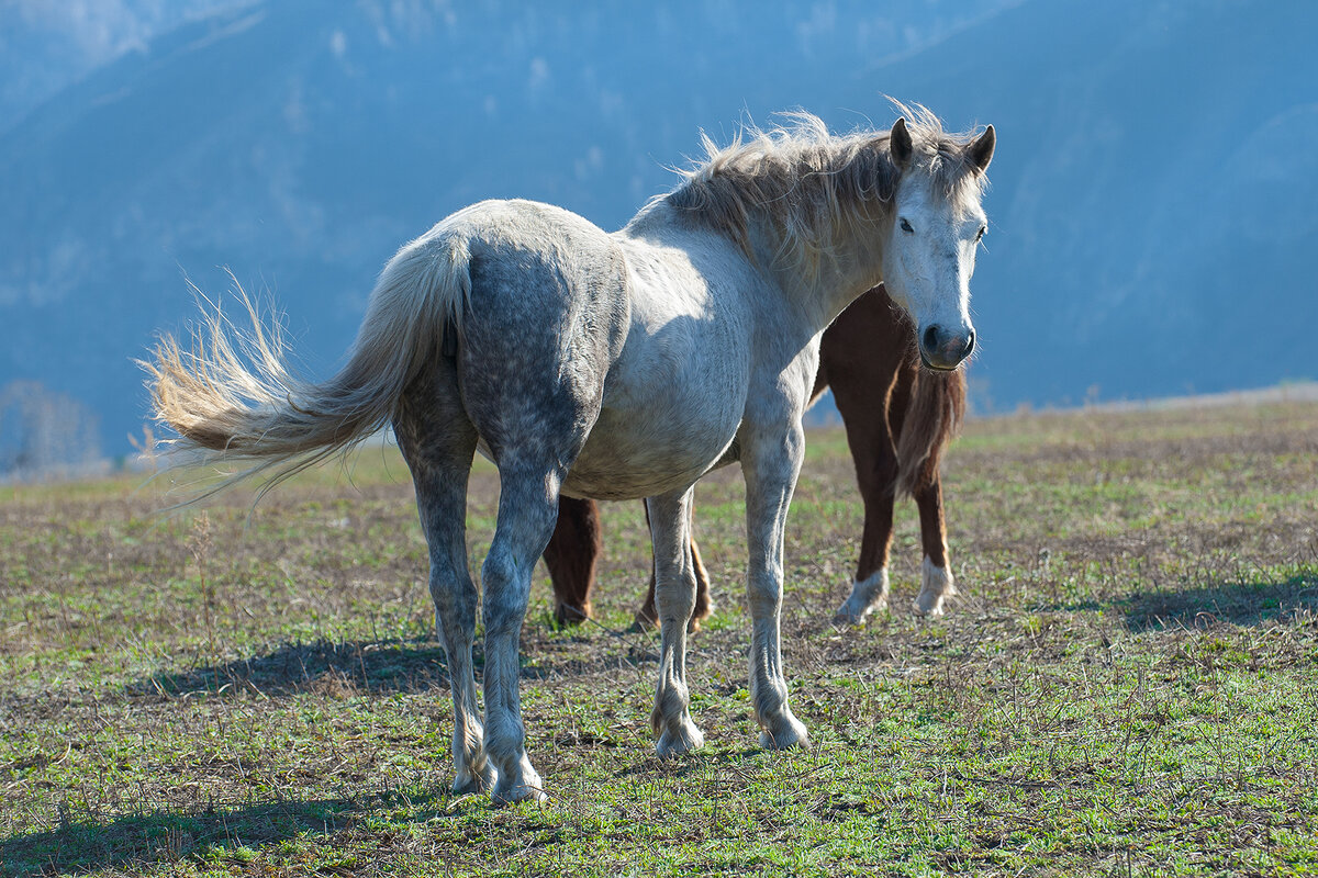 "Куда дальше идём?"