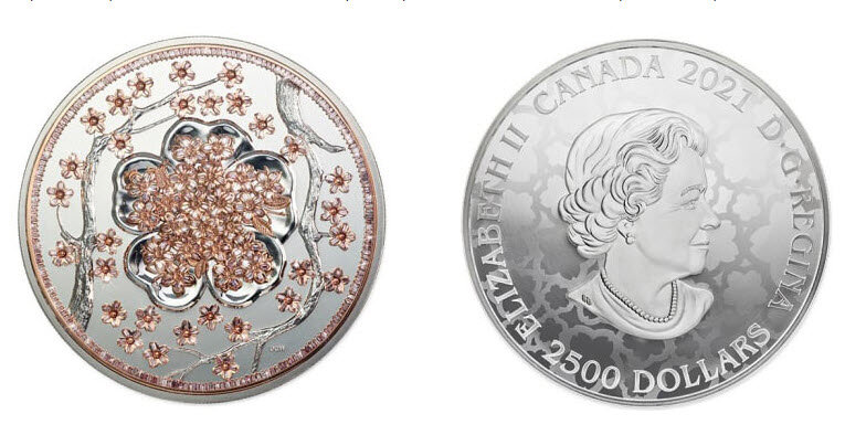 Здравствуйте друзья! Вы на канале Лариса Чепенко. 31 мая в Канаде была продана редкая монета из платины. Продавцом выступил известный канадский аукцион Heffel.-2