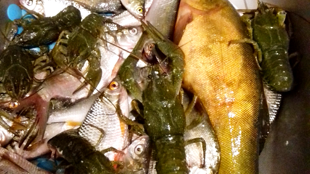 Фото из личного архива