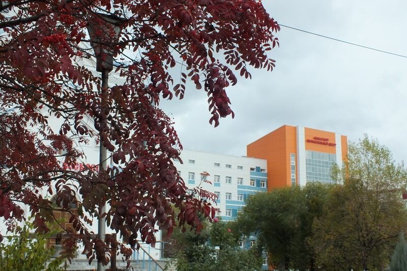 Самарская областная клиническая больница no 2. Середавина Самара.