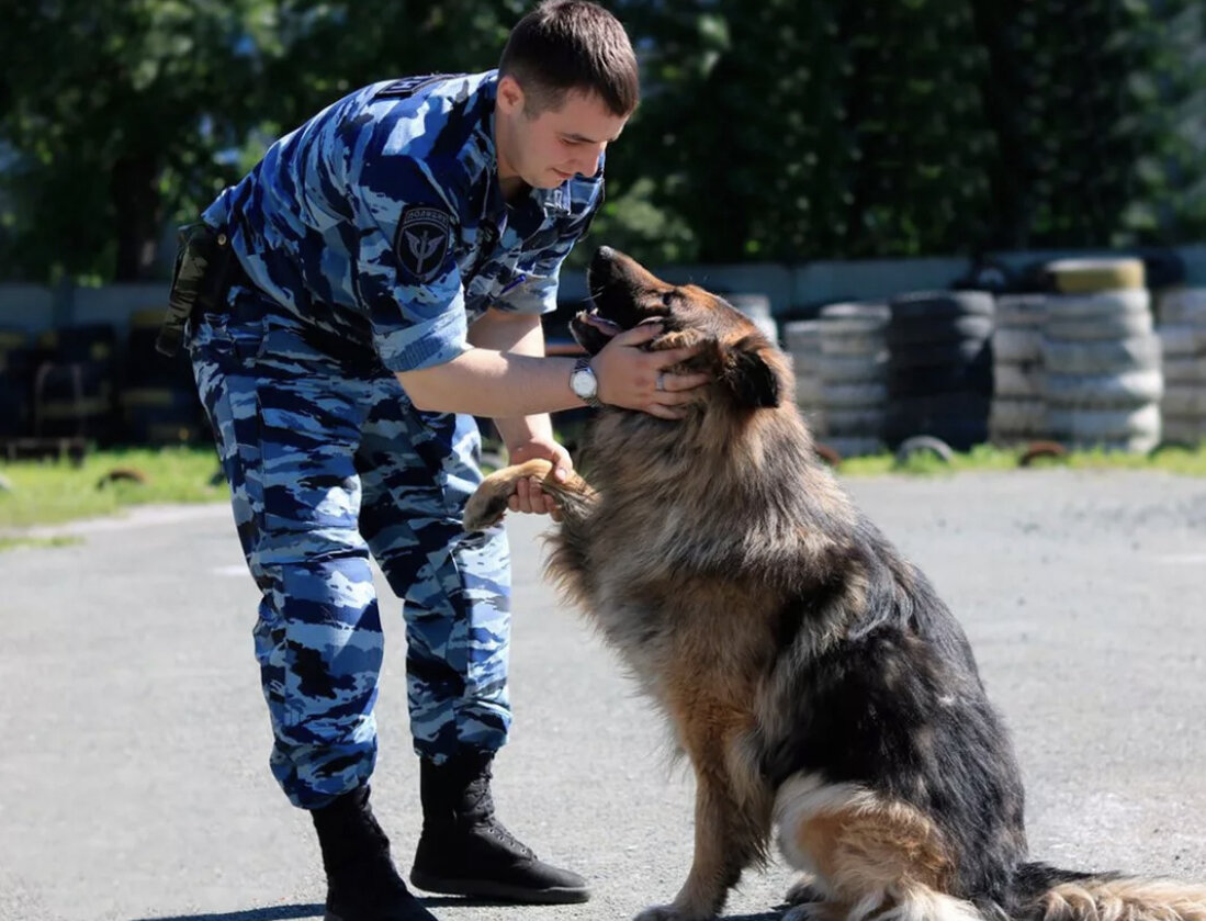 Презентация по кинологии