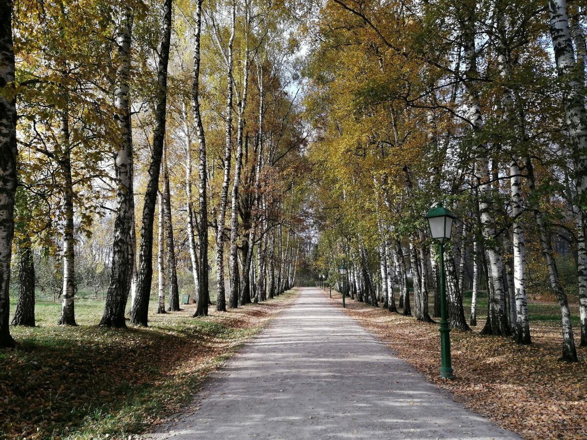 Ясная поляна омск фото