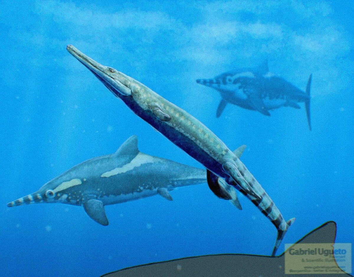 Метриоринхиды (Metriorhynchidae) – морские крокодилы с рыбьими хвостами