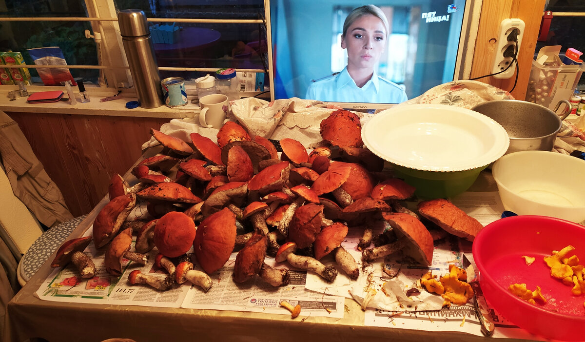 Фото прошлогоднее! Пока такого слоя у нас нет!