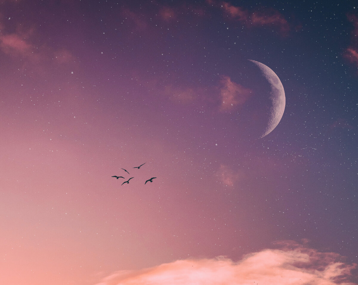 Изображение с сайта pexels.com