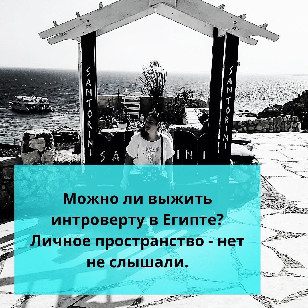 ⚠️Можно ли выжить интроверту в Египте? Личное пространство - нет не  слышали. | Ольга о Египте 🇪🇬 и не только | Дзен