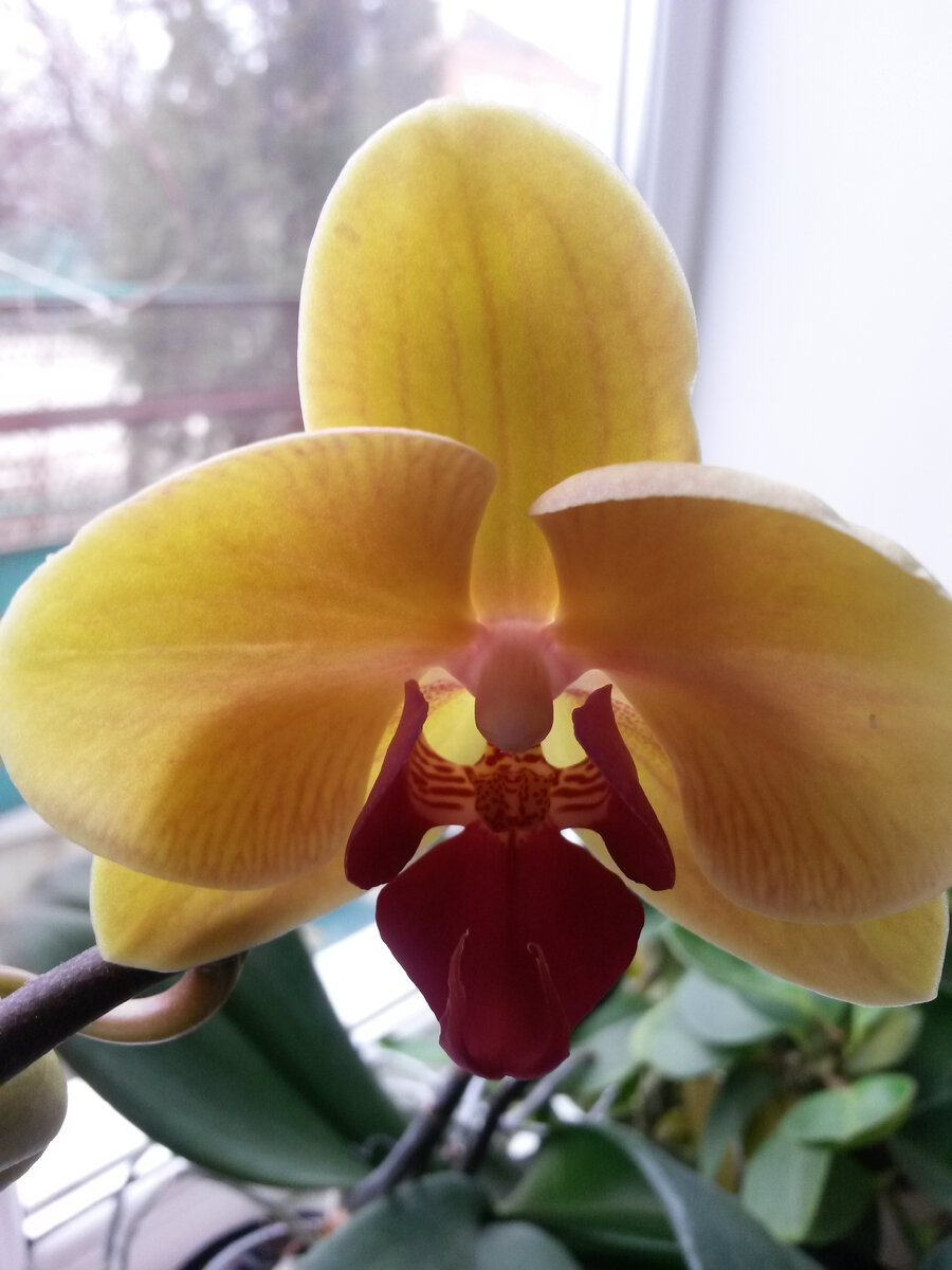 Фото из личного архива