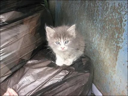 бедный малыш, с косоглазием, выскочил из пакета.