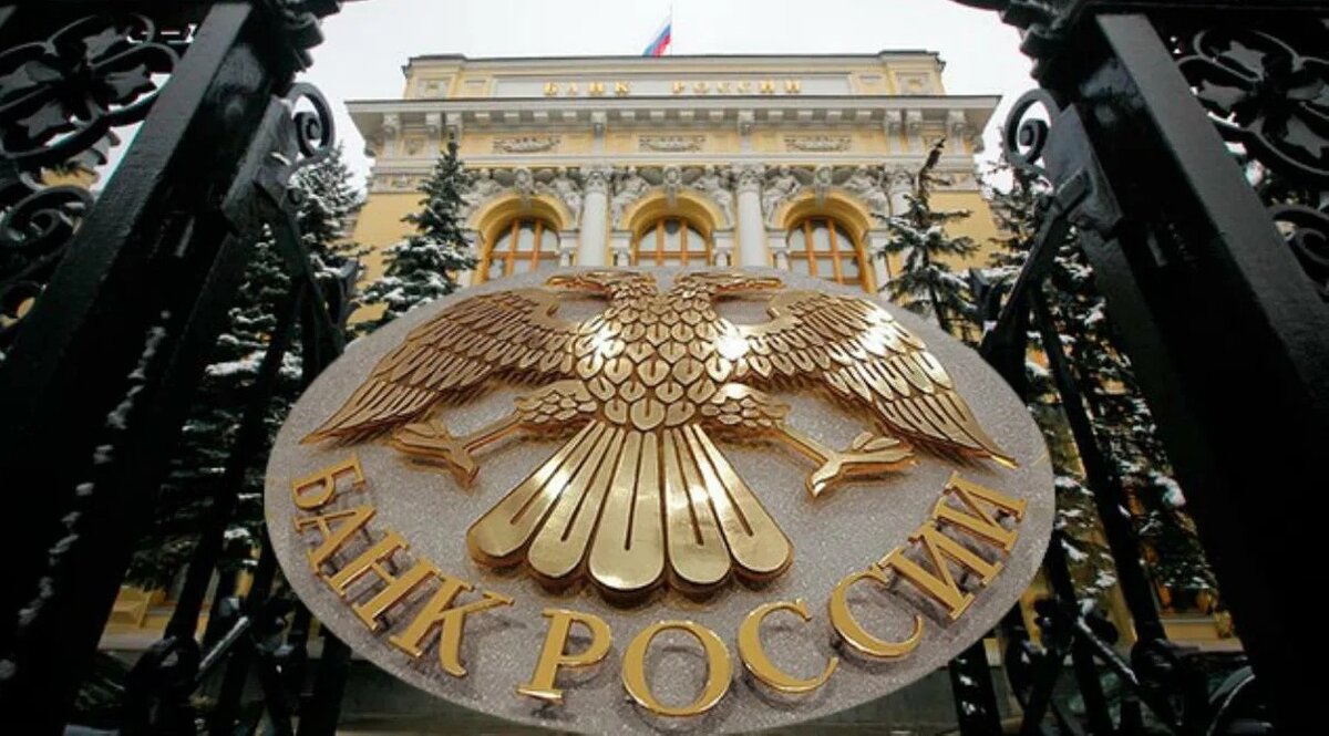 Фото — zen.yandex.ru