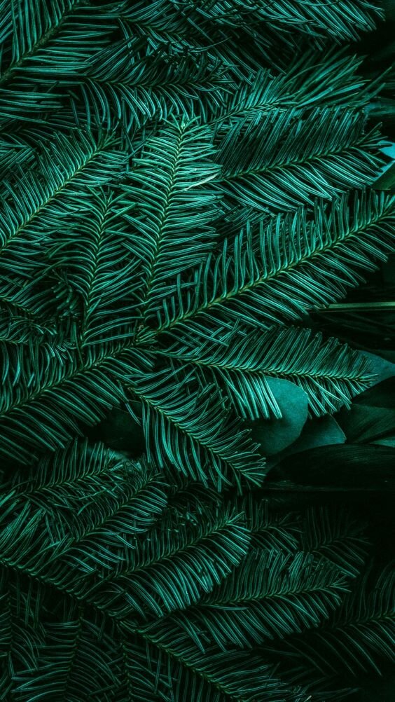 Картинка взята из Пинтереста и находится в открытом доступе.