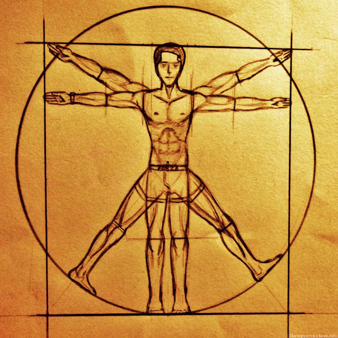 Альтернативная вариация отображения "Витрувианского человека", впервые предложенного Леонардо да Винчи