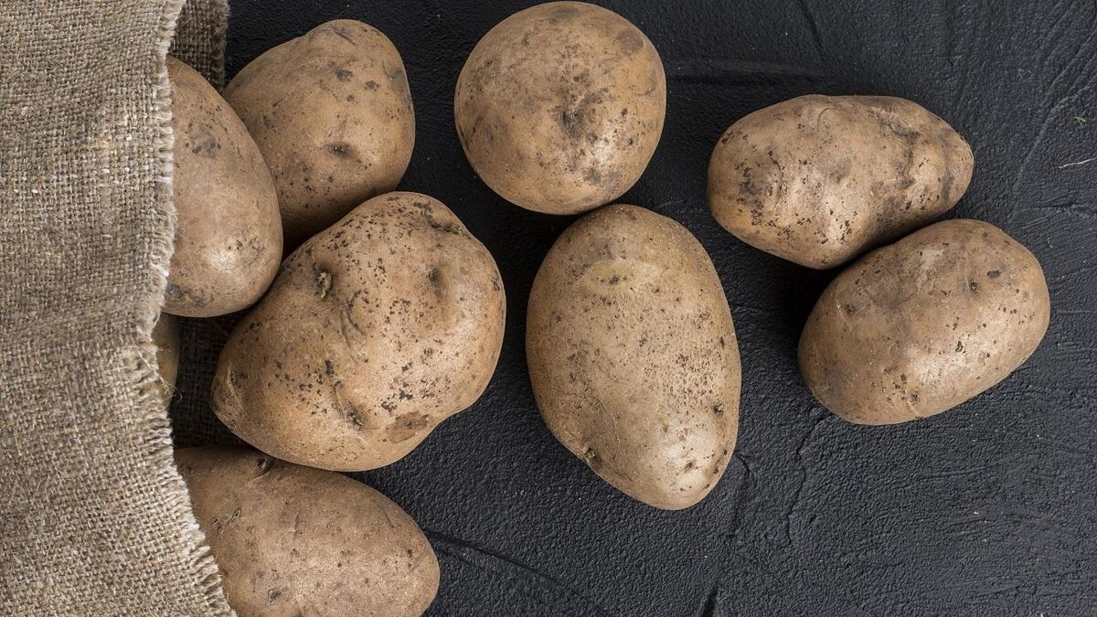 Потребляемость картофеля исследование стран. Откуда Родом картофель. Сколько с одной картошки вырастает.