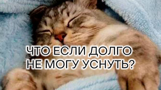 Эндокринолог Мария Мостовая | Что делать, если долго не можешь уснуть ...